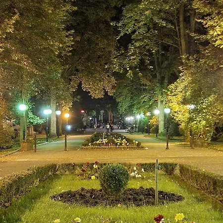 Ogrody Pieniawskie Paryski *